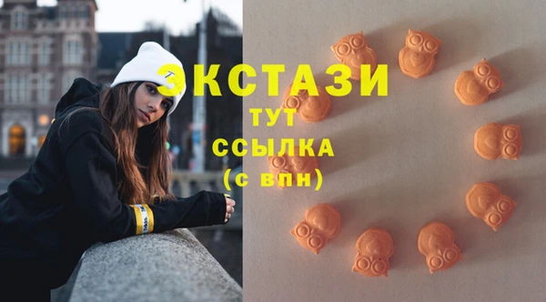 крисы Козельск