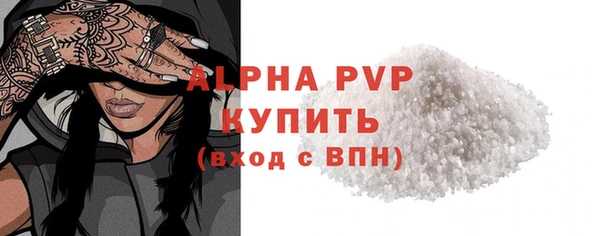крисы Козельск
