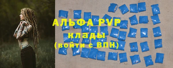 ГАЛЛЮЦИНОГЕННЫЕ ГРИБЫ Касимов